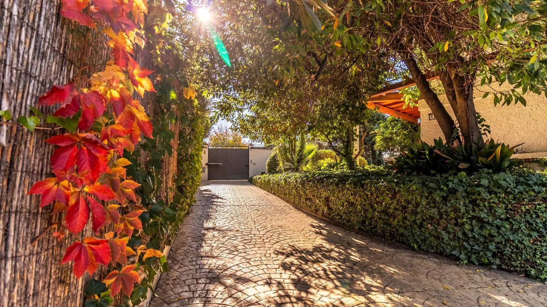 Rentitspain Grand Luxury Villa Piscina & Jacuzzi Granada Albolote
